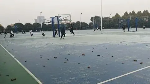 篮球小学生基本功训练教学反思怎么写_0